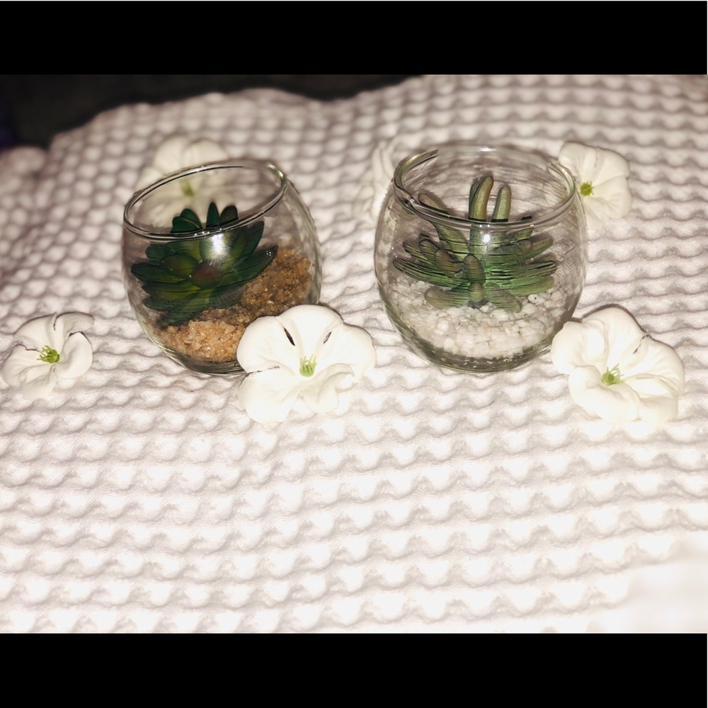Succulent Artificial Arrangement Glass Terrarium